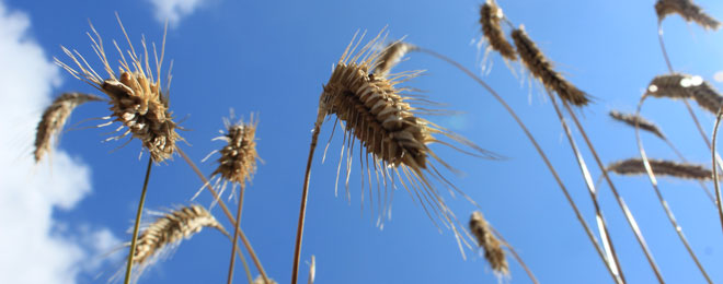 Wie wir uns finanzieren